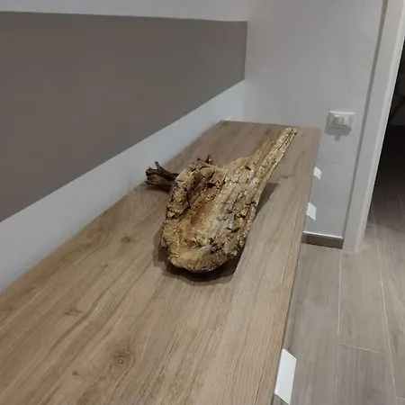 Il Legno Di Mare Daire La Spezia