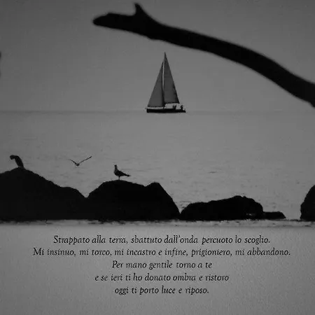 Il Legno Di Mare * La Spezia
